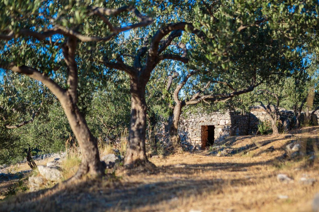 Villa Fani Supetar Bagian luar foto